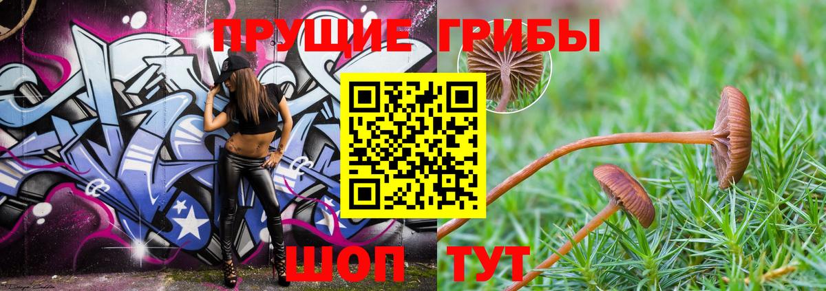 Туймазы  Псилоцибиновые грибы Cubensis  купить   Псилоцибиновые грибы ЛСД  Вход с VPN 
