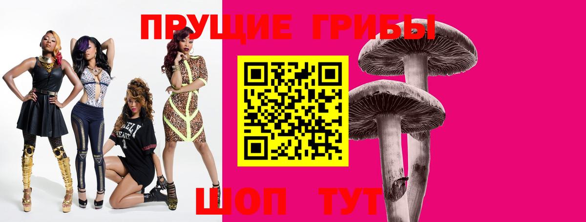 Псилоцибиновые грибы GOLDEN TEACHER Туймазы